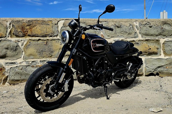 2024 Harley-Davidson X 500 X Black