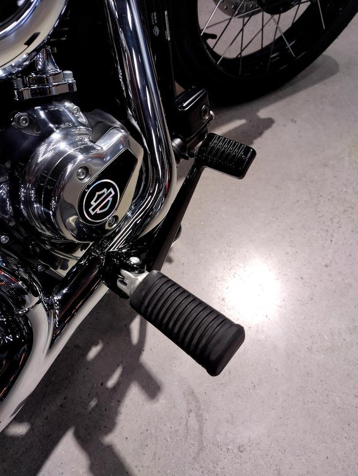 2025 Harley-Davidson Street Bob 117 (FXBB) Softail