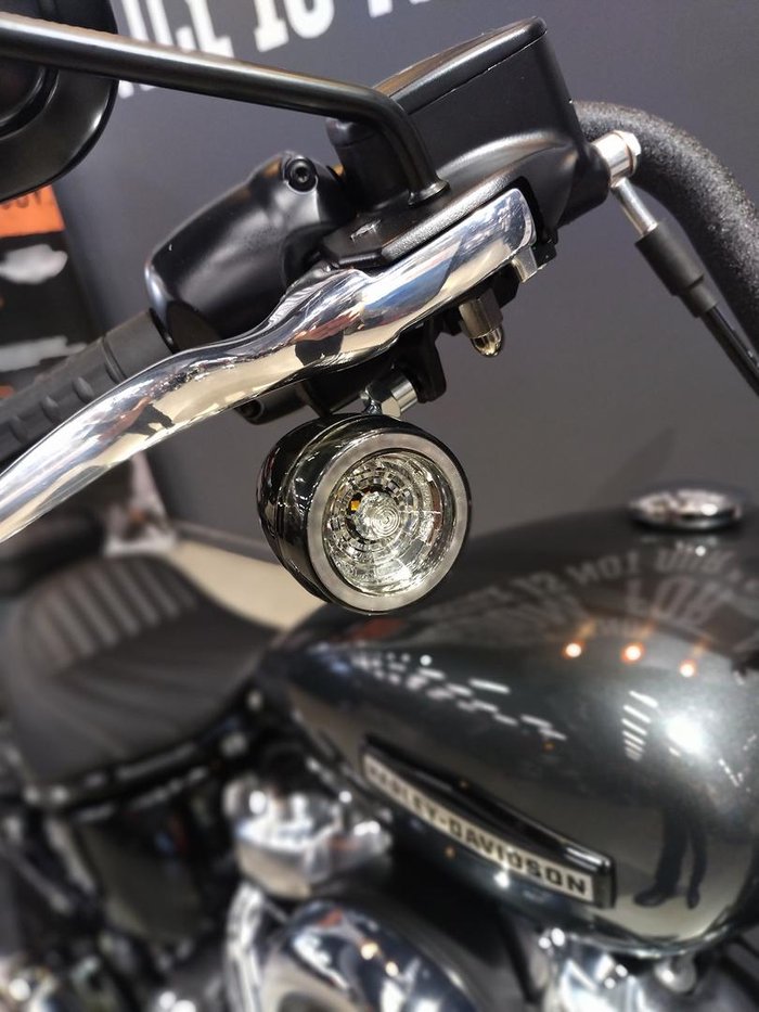 2025 Harley-Davidson Street Bob 117 (FXBB) Softail