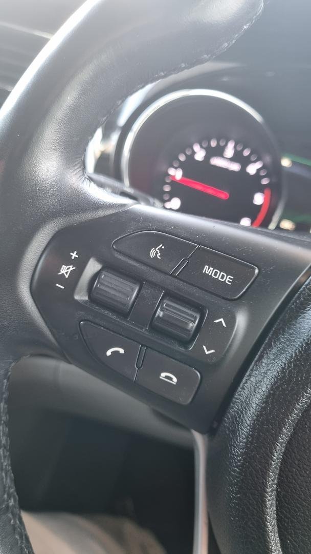 2019 Kia Carnival Platinum