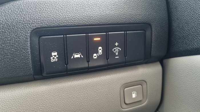 2019 Kia Carnival Platinum
