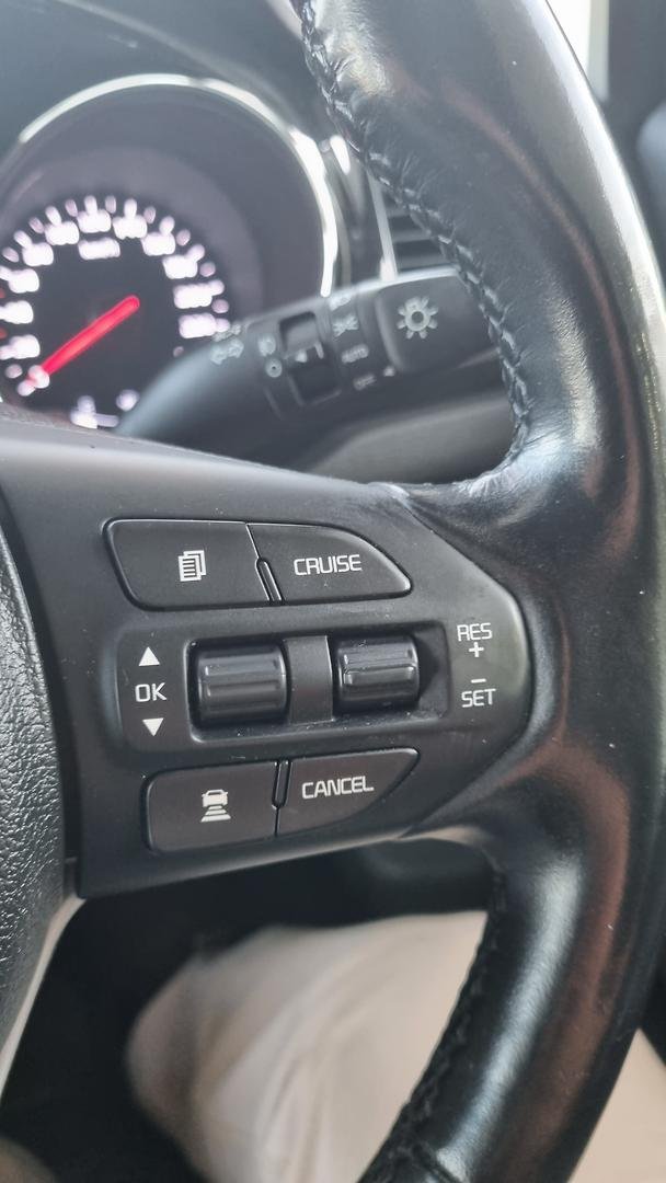 2019 Kia Carnival Platinum
