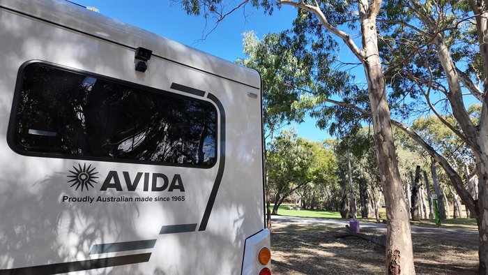 2025 Avida Bruny B 7042