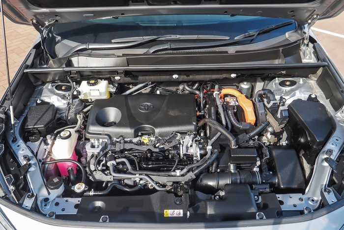 2019 Toyota RAV4 Cruiser