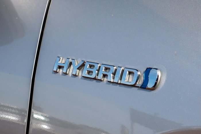 2019 Toyota RAV4 Cruiser