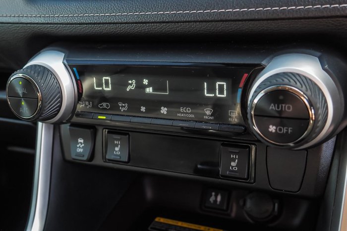 2019 Toyota RAV4 Cruiser
