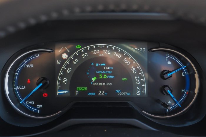 2019 Toyota RAV4 Cruiser