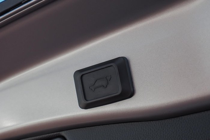 2019 Toyota RAV4 Cruiser