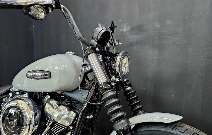 2025 Harley-Davidson Street Bob 117 (FXBB) Softail Grey