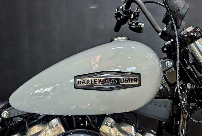 2025 Harley-Davidson Street Bob 117 (FXBB) Softail Grey