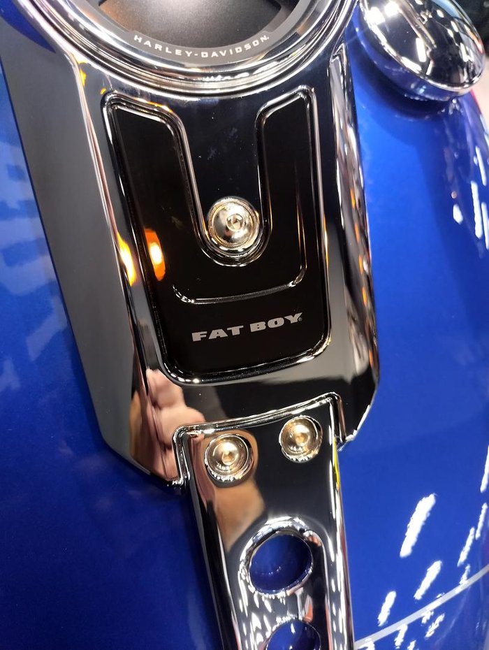 2025 Harley-Davidson Fat Boy 117 (FLFB) Softail Blue