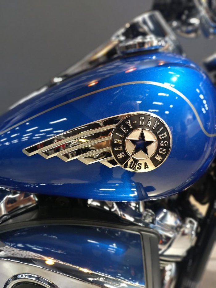 2025 Harley-Davidson Fat Boy 117 (FLFB) Softail Blue