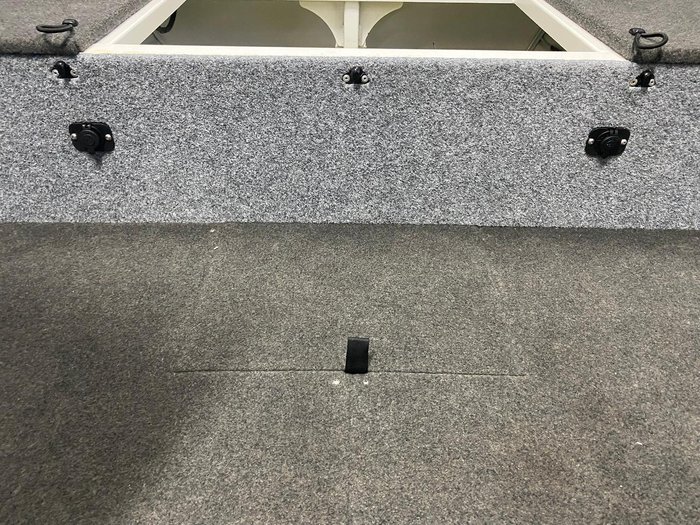 2024 QUINTREX 460 Renegade TS