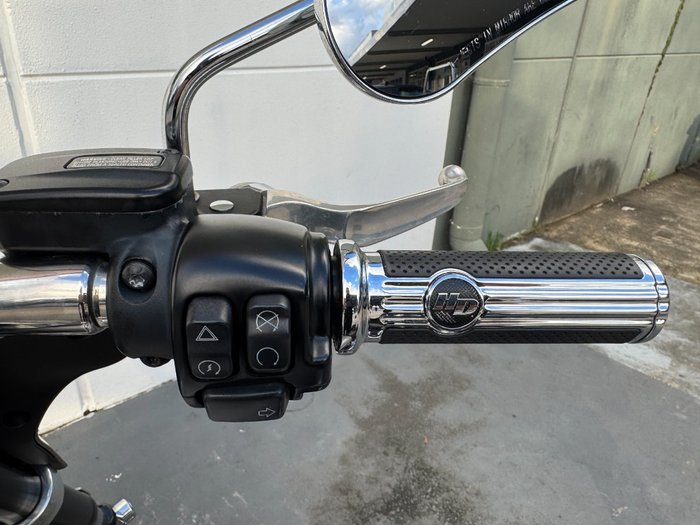 2018 Harley-davidson FLSB SPORT GLIDE Silver