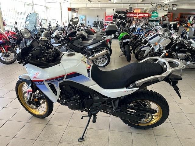 2023 Honda XL750 Transalp Transalp White