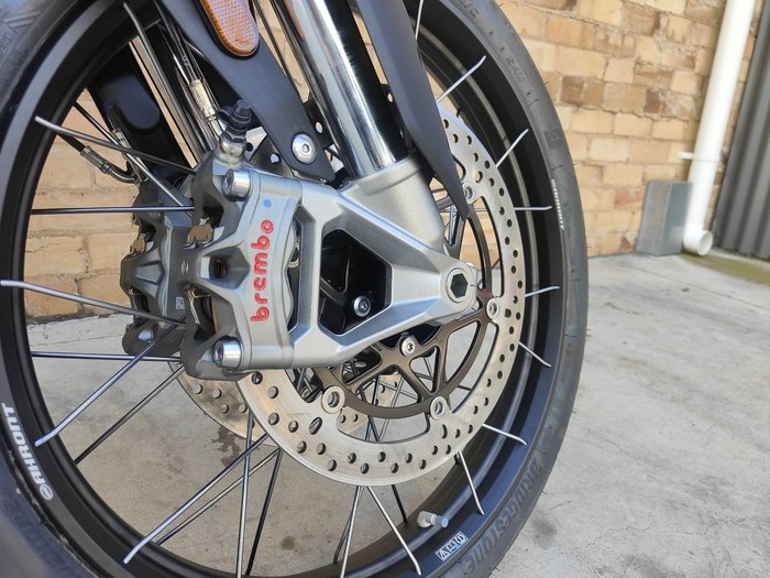 2025 TRIUMPH TIGER 900 RALLY PRO ROAD ASH GREY / INTENSE ORANGE