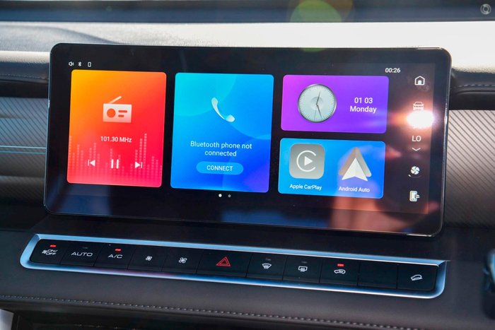 2025 GWM Cannon Premium