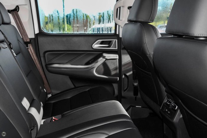 2025 GWM Cannon Premium