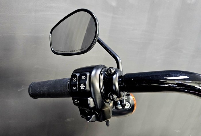 2025 Harley-Davidson Road King Special 114 (FLHRXS) Touring Red