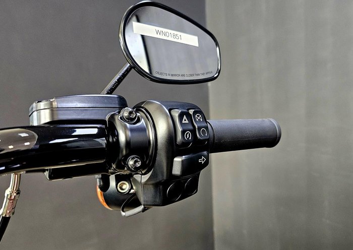 2025 Harley-Davidson Road King Special 114 (FLHRXS) Touring Red