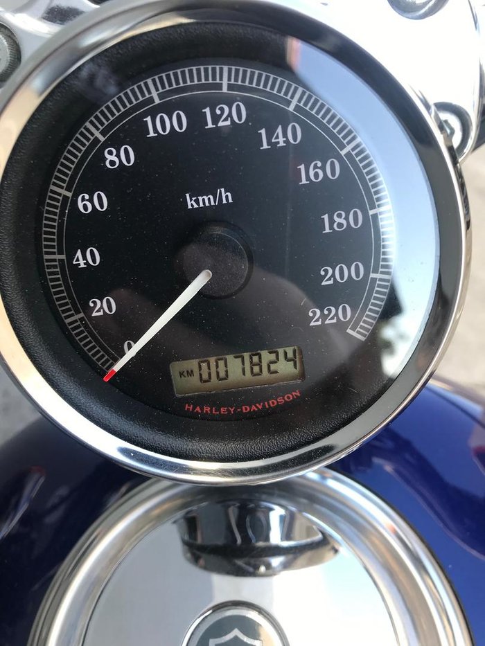 2005 Harley-Davidson 1200 Custom (XL1200C) 