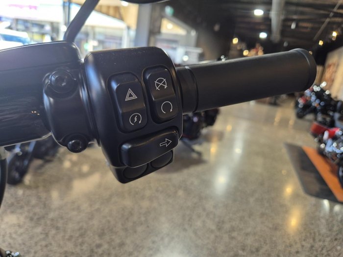 2025 Harley-Davidson Road King Special 114 (FLHRXS)