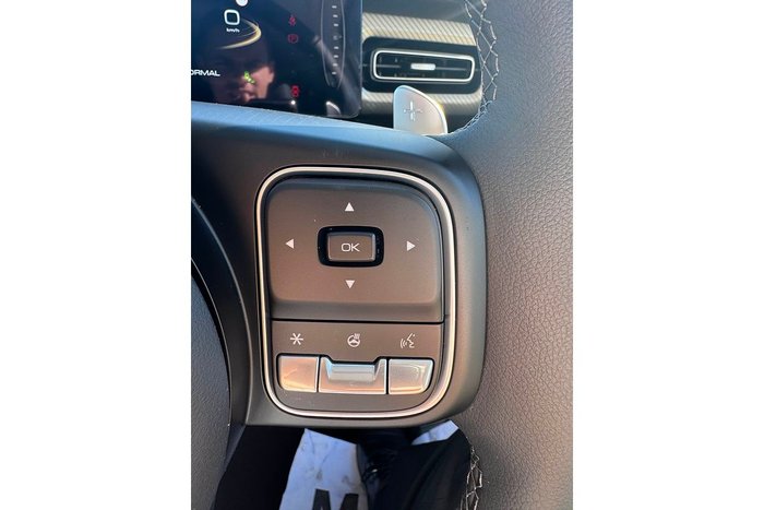 2024 GWM Cannon Ultra