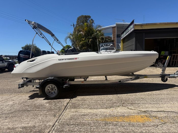 2025 Sea Storm 17 Advantage