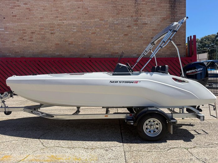 2025 Sea Storm 17 Advantage