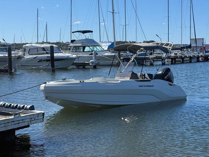 2025 Sea Storm 17 Advantage