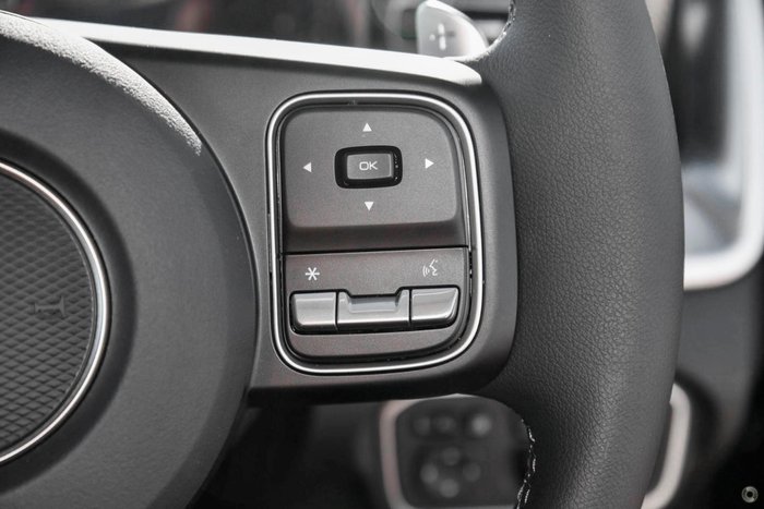 2025 GWM Cannon Premium