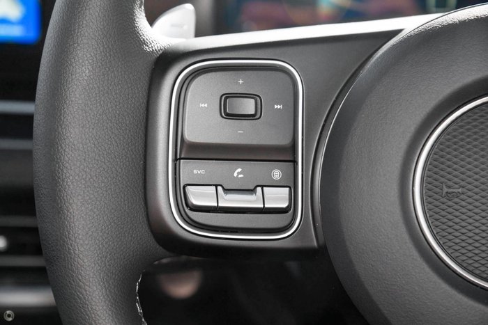 2025 GWM Cannon Premium