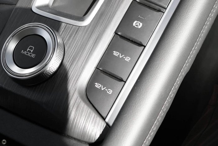 2025 GWM Cannon Premium