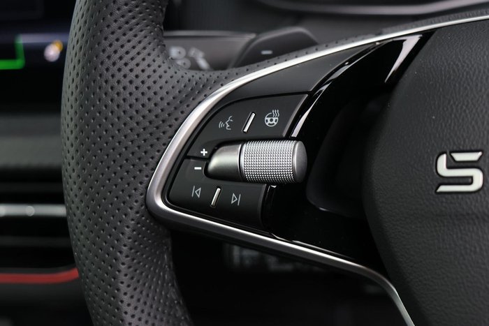 2025 SKODA Kamiq 110TSI Monte Carlo