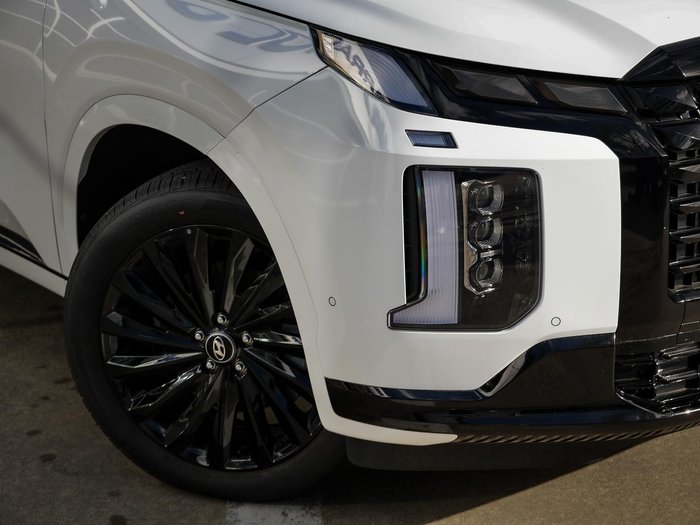 2024 Hyundai Palisade Calligraphy Black Ink