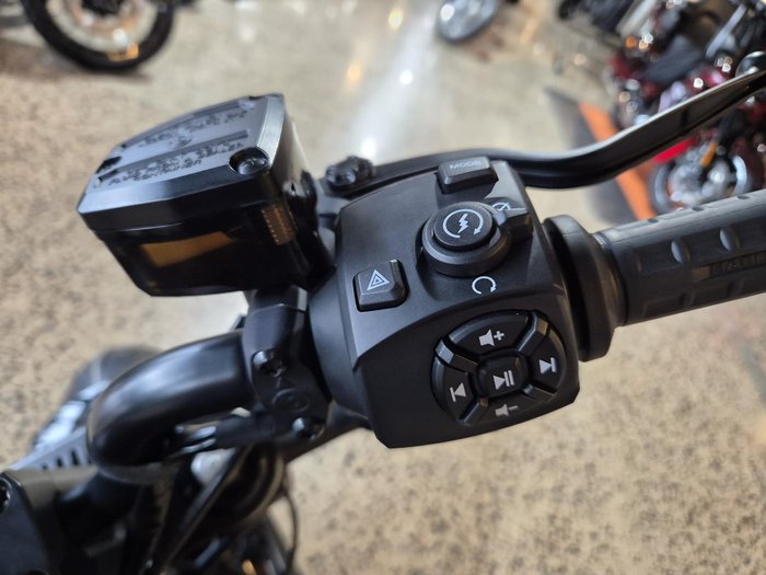 2024 Harley-Davidson Sportster S (RH1250S)