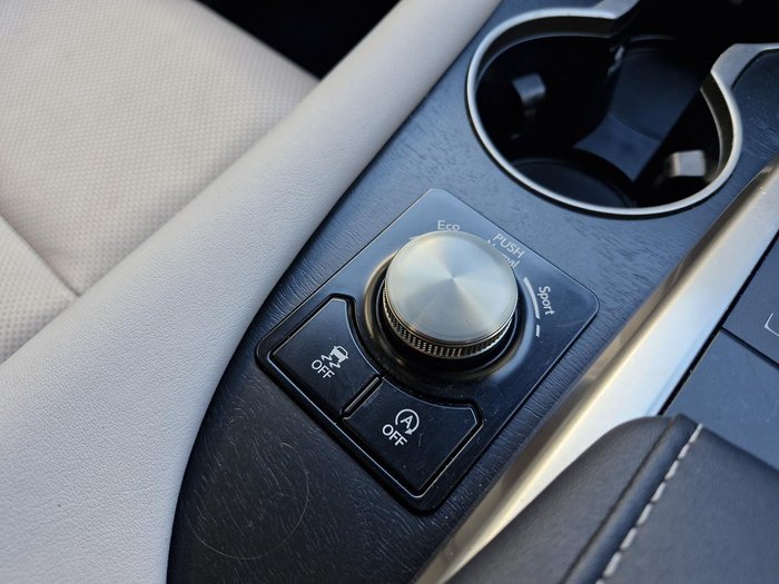 2022 Lexus RX 300 Crafted Edition