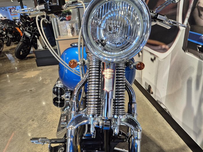 2001 Harley-Davidson Springer Softail 88 (FXSTS) Softail Blue