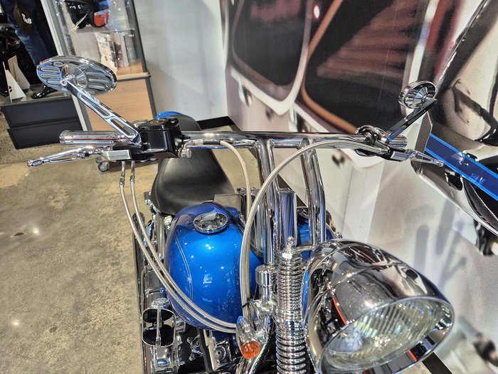 2001 Harley-Davidson Springer Softail 88 (FXSTS) Softail Blue