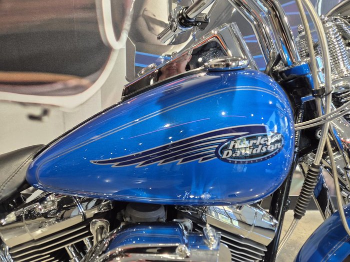 2001 Harley-Davidson Springer Softail 88 (FXSTS) Softail Blue