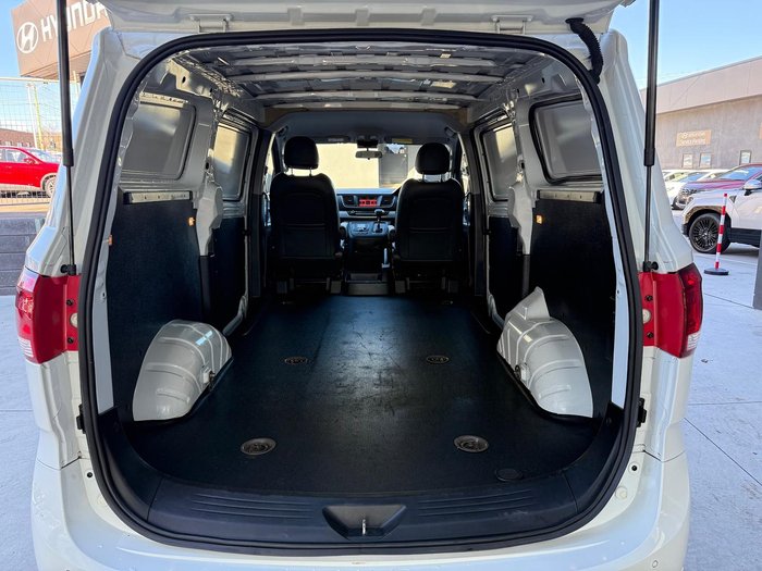 2020 LDV G10