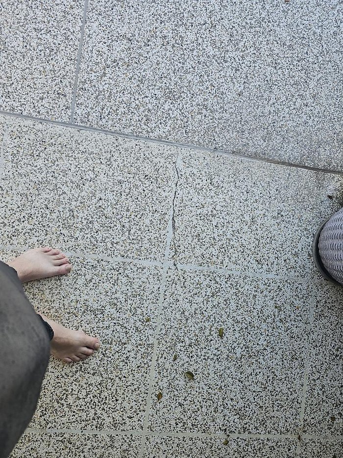 2025 McNeill 4 Dog Deluxe