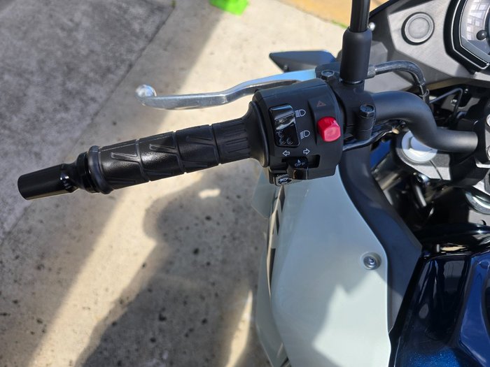 2025 Kawasaki VERSYS-X 300 BURGUNDY