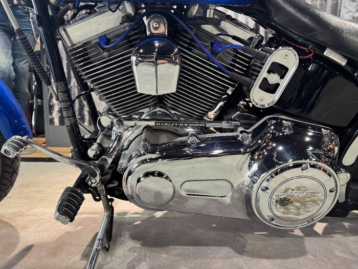 2007 Harley-davidson FXST SOFTAIL STANDARD Blue
