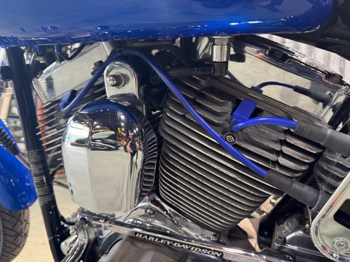 2007 Harley-davidson FXST SOFTAIL STANDARD Blue