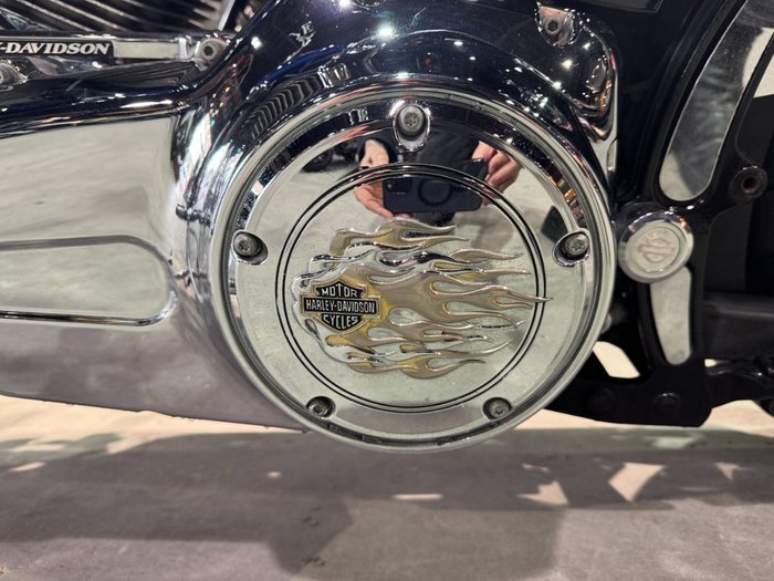 2007 Harley-davidson FXST SOFTAIL STANDARD Blue