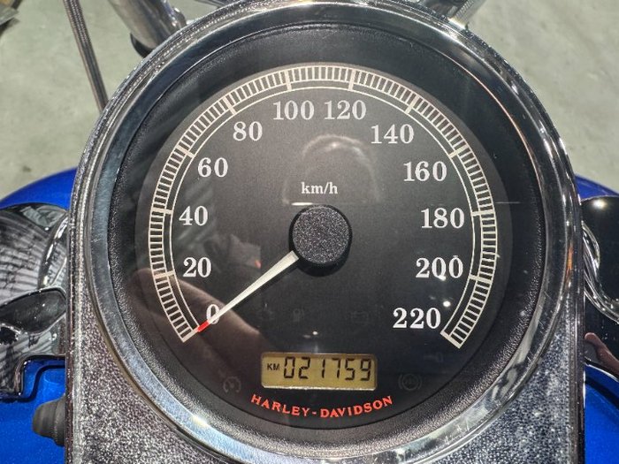 2007 Harley-davidson FXST SOFTAIL STANDARD Blue