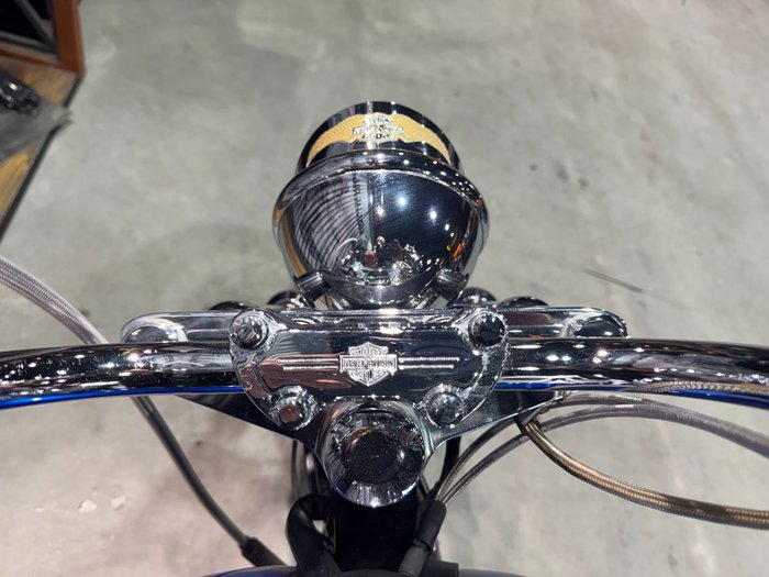 2007 Harley-davidson FXST SOFTAIL STANDARD Blue