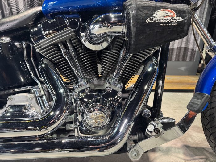 2007 Harley-davidson FXST SOFTAIL STANDARD Blue