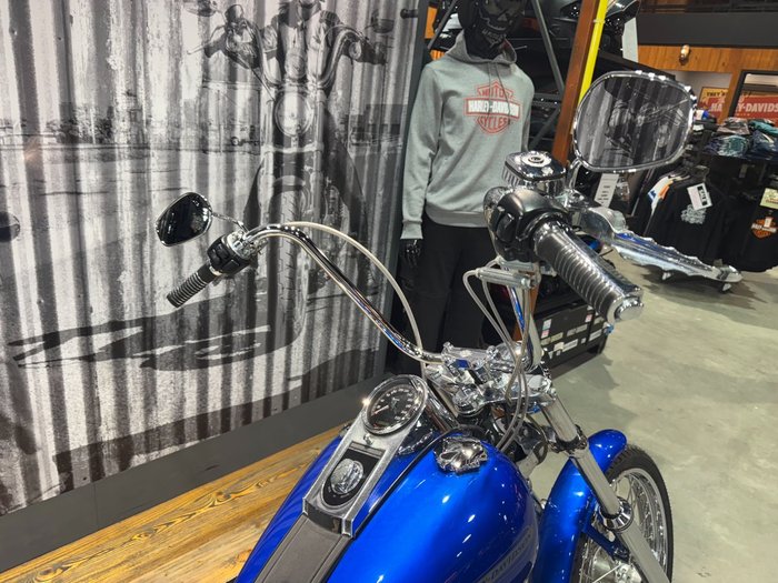2007 Harley-davidson FXST SOFTAIL STANDARD Blue